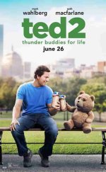 Ayı Teddy 2 izle (2015)